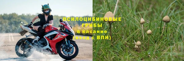 MESCALINE Инта