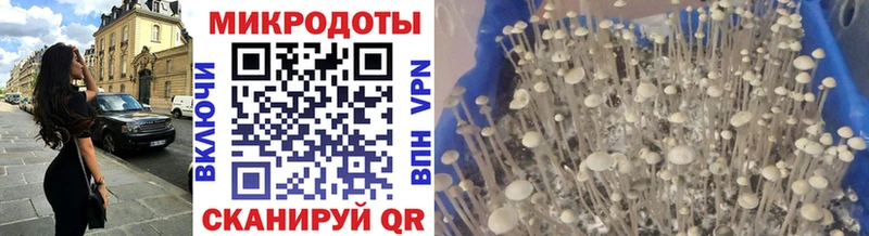 Псилоцибиновые грибы MAGIC MUSHROOMS Купить закладки Олёкминск